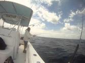 Bottom Fishing out of Morehead City NC