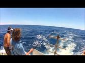 Fishing For Mahi Mahi Off The Coast Of Morehead City, N.C.