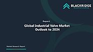 Global Industrial Valve Market Outlook to 2024