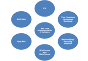 Revolutionary Dot net services in computer networking world - Blogs - MyTechLogy
