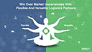 Flexible and Versatile Logistics Partners