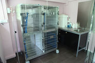 Personal Pet Care at Mount Pleasant Singapore