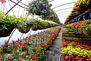 Visit Water Features & Sprinklers Systems in Sequim Nurseries