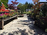 Sequim Gardens at New Dungeness Nursery