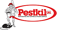 Leading Bug and Pest Control Company in the Cayman Islands - Pestkil