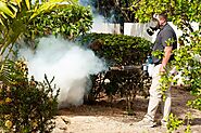 How Helpful Are Surface Sanitizing and Pest Control in the Pandemic Outbreak?
