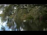 Discover Wilmington, North Carolina