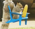 Adirondack Chair Squirrel Feeder - Whyrll.com
