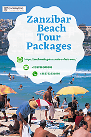 Tips for Wildlife Safari and Beach Holidays in Zanzibar Tanzania