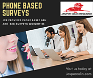 Telephone based Surveys/CATI