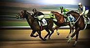 Horse Racing Betting - Online Betting Tips For Horse Racing