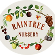 Buy Fruit Trees Online | Order Fruit Trees - Raintree Nursery