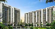 Tulip Violet Gurgoan – Invest now in your future home with lavish lifestyle! | Real estate In gurgaon