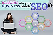 On Page Seo Expert- Reasons Why Your Business Needs SEO