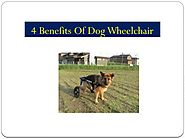 4 Benefits Of Dog Wheelchair