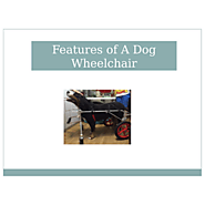 Features Of A Dog Wheelchair