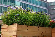Why Are Wooden Planter Boxes Better Investments? | Aussiesworld