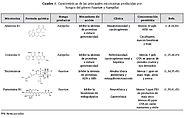 Micotoxicosis y micotoxinas: generalidades y aspectos básicos