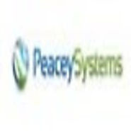 Peacey Systems LLC: Back Office Support System- Backbone of Every Organisation, Tier 1 support Florida
