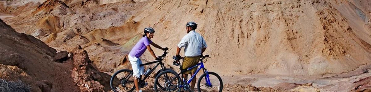 Headline for Four activities to try in Sir Bani Yas Island - For a well-rounded trip!