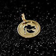 Website at https://jewelryamerica.com/product/14k-yellow-gold-reversible-round-capricorn-goat-zodiac-sign-pendant