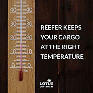 20ft Reefer Container Dimensions and Sizes