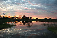 The Okavango