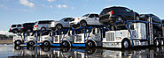 Trade Plate Driver Or Vehicle Transporters