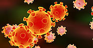 Corona Symptoms: What is Coronavirus (COVID 19)?