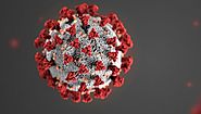 COVID-19: Further Evidence that the Virus Originated in the US - Global ResearchGlobal Research - Centre for Research...