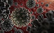Coronavirus disease (COVID-19) Pandemic