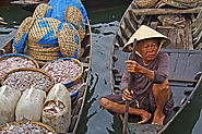 Hoi An Fish Markets