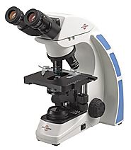 Shop High Power Compound Microscopes for small Object Analysis - WPI