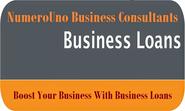 Describe and Detail Discussion about Business Loans