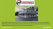 Monhagen Veterinary Hospital | Middletown Pet Vet | Animal Health Clinic Middletown