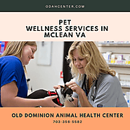 Pet Wellness Services in McLean VA