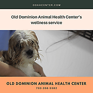 Old Dominion Animal Health Center’s wellness service