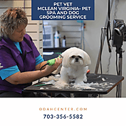 Pet Vet McLean Virginia- Pet Spa and Dog Grooming Service