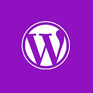Hire Wordpress Developers and Experts in India