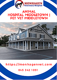 Middletown Vet | Pet Veterinary Services | Animal Hospital at Middletown | edocr