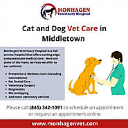 Cat and Dog Vet Care in Middletown | Visual.ly