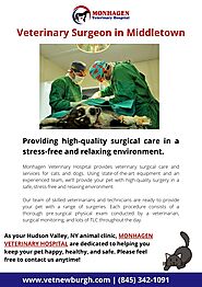 PPT - Veterinary Surgeon in Middletown PowerPoint Presentation, free download - ID:11242657