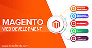 Magento Ecommerce Web Development Company India | Magento Development Services