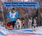 Social Media Lead Generation: Best Tips From The Experts - Heidi Cohen