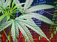 Invest Green USA: Cannabis Stocks Trading