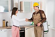 General Pest Control Service in Cleveland Heights