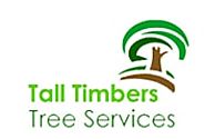 Website at https://talltimberstreeservices.com.au/tree-cutting-service-sydney/