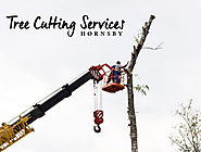 Tree Cutting Services Hornsby and Tree Lopping Hornsby - Blog