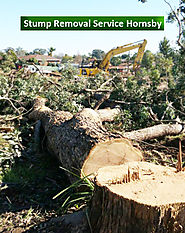 Proven Stump Removal Service Hornsby - Blog