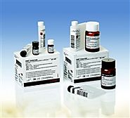 Thermo Scientific 0185 Assay | Thermo Kit THC 100mL